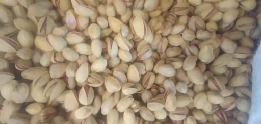 عکس بازرگانی برادران کافی