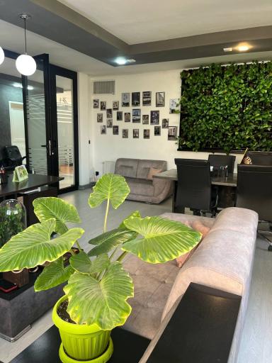 شرکت سالوین