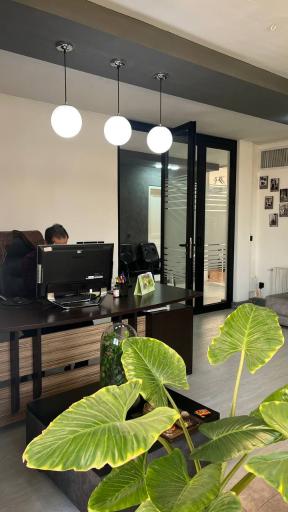 شرکت سالوین