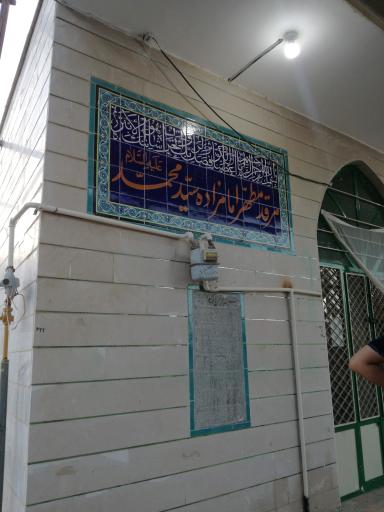 عکس امامزاده سیدمحمد علیه السلام