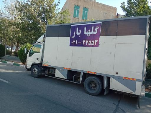 عکس باربری و حمل اثاثیه منزل گلها
