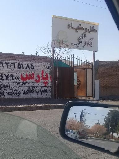 عکس گل و گیاه آقای گل