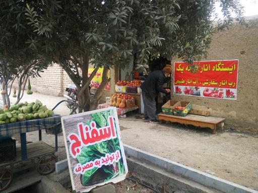 عکس باغ میوه