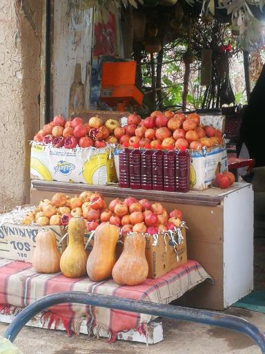 عکس باغ میوه