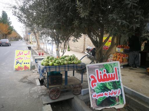 عکس باغ میوه