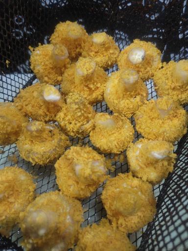 عکس پیتزا امیریه 