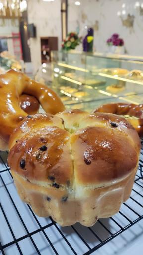 عکس نان فانتزی روگن