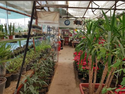 بازار گل فروشی گل کار