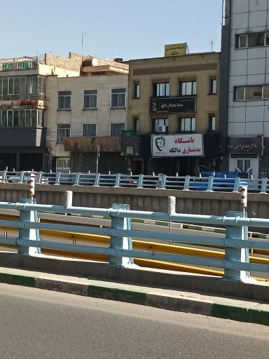 باشگاه دالکه