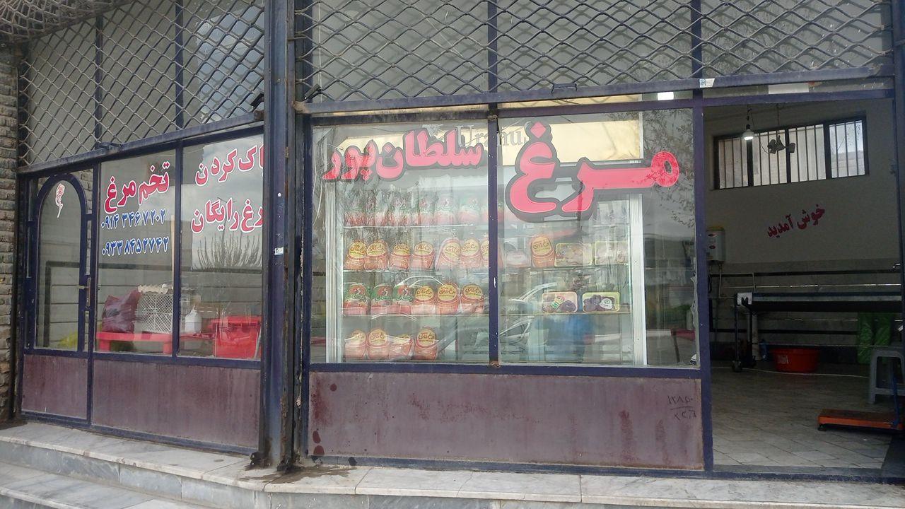 عکس مرغ سلطانپور