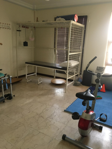 فیزیوتراپی شریعتی (کلینیک آیتن)