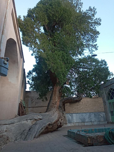 عکس مسجد جامع دوره ایلخانی طرق رود