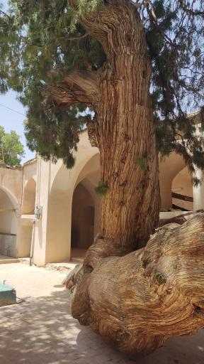 عکس مسجد جامع دوره ایلخانی طرق رود