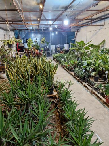 عکس گلخانه کاژه