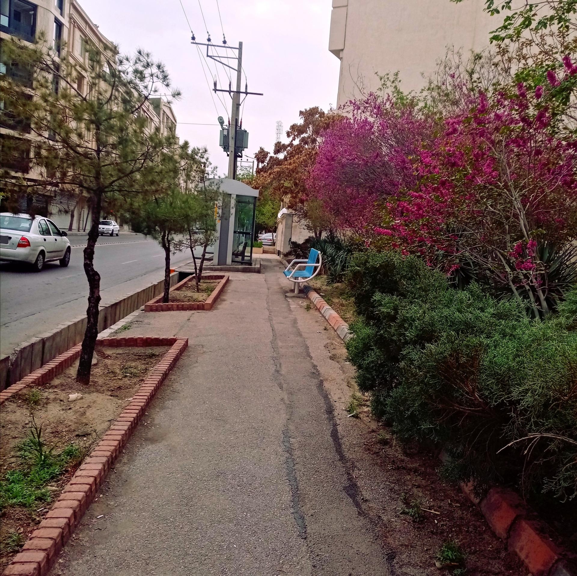 عکس  حسابی 30