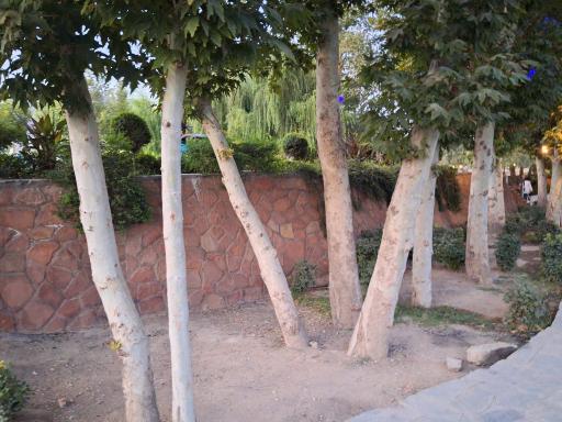 عکس پارک رود حصار