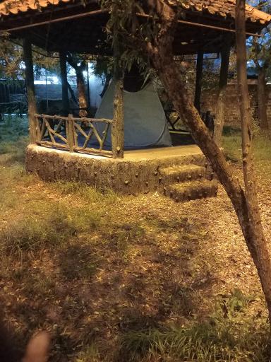 عکس پارک شمشاد 