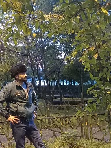 عکس پارک شمشاد 