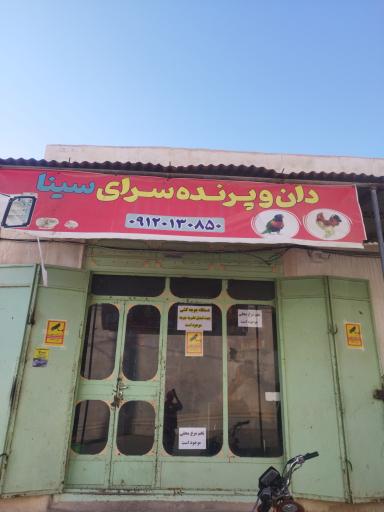 عکس پرنده سرای سینا