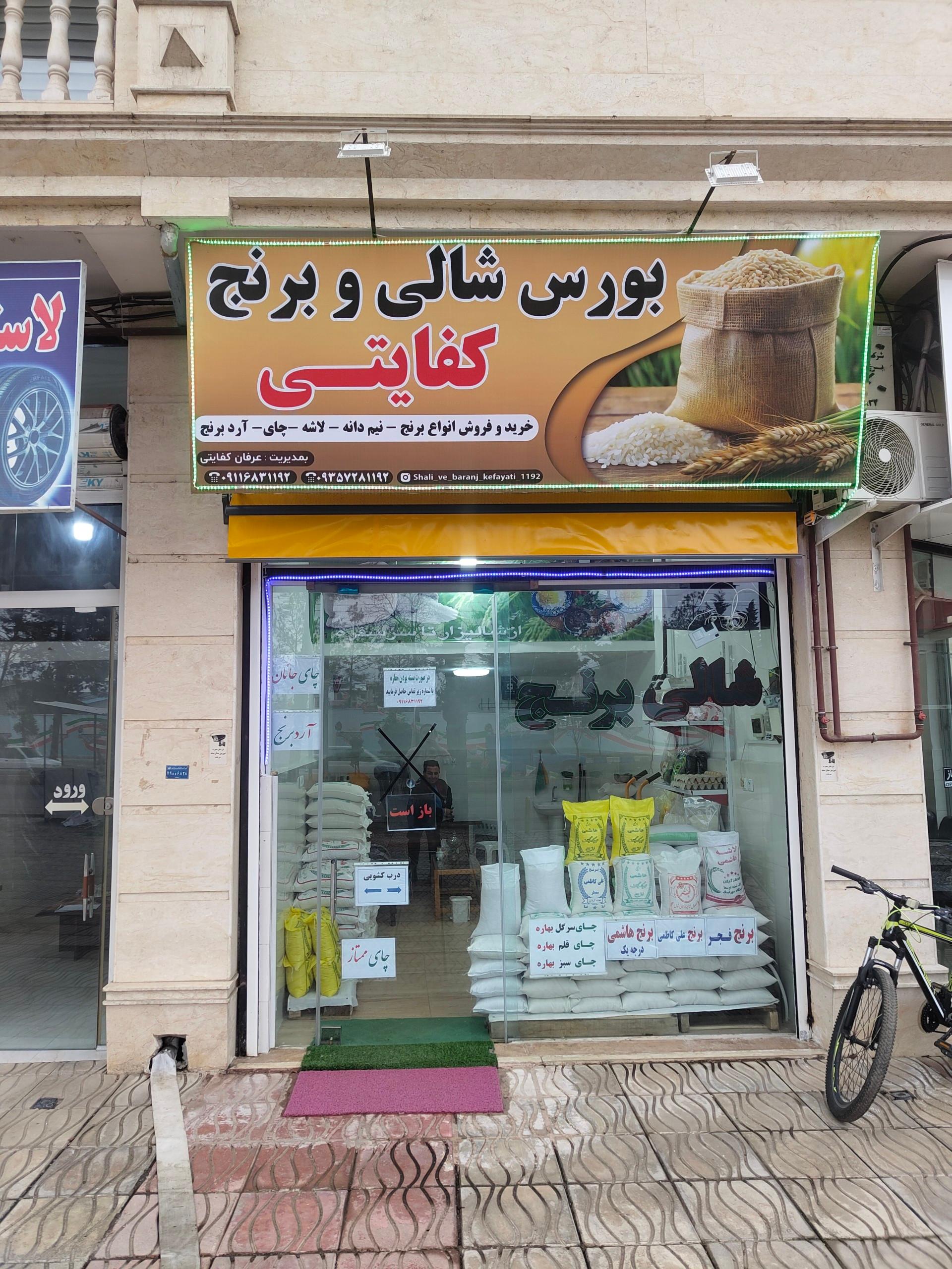 عکس شالی و برنج کفایتی 