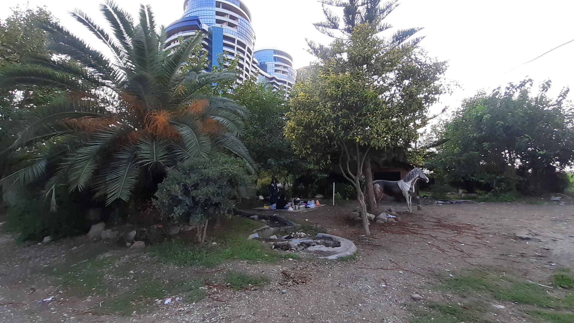 عکس پلاژ پردیس