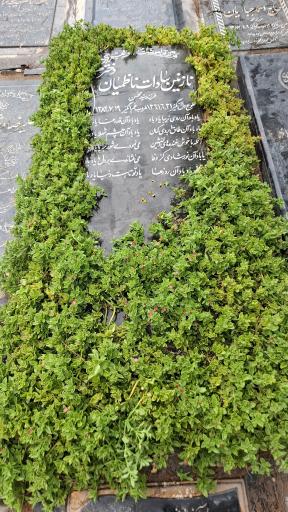 عکس قطعه 47