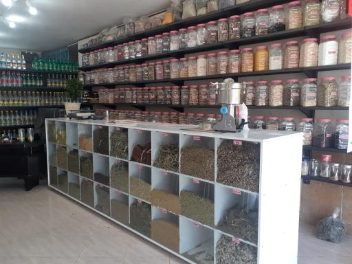 عکس گیاهان دارویی ابن سینا 