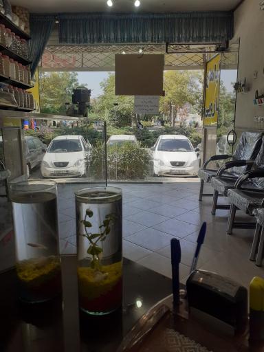 عکس گیاهان دارویی ابن سینا 