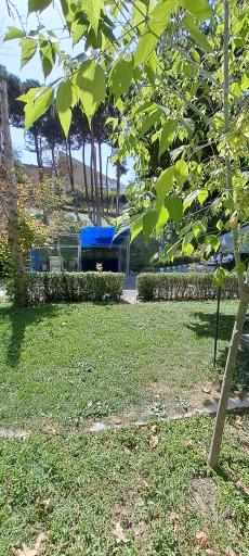 عکس دانشگاه امام صادق