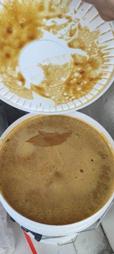 عکس پخش آناهیتا