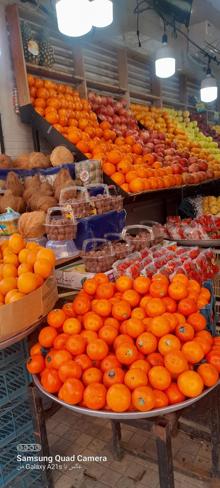 عکس هایپر میوه باغ
