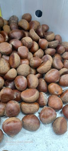 عکس هایپر میوه باغ