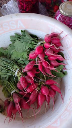 عکس توت فرنگی و محصولات سر باغی عزیزی