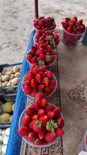 عکس توت فرنگی و محصولات سر باغی عزیزی