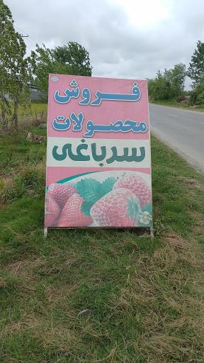 عکس توت فرنگی و محصولات سر باغی عزیزی
