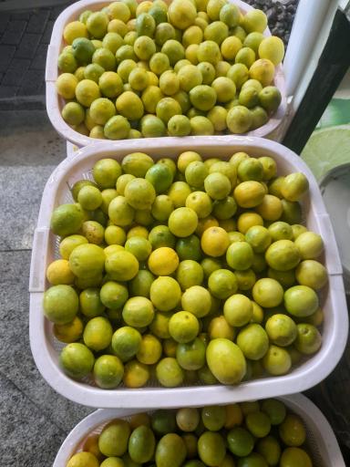 عکس آبلیموی بهشت