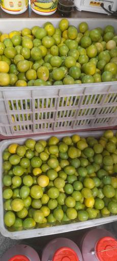 عکس آبلیموی بهشت