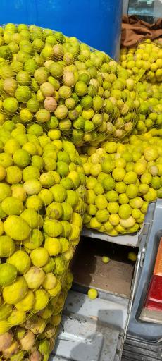 عکس آبلیموی بهشت