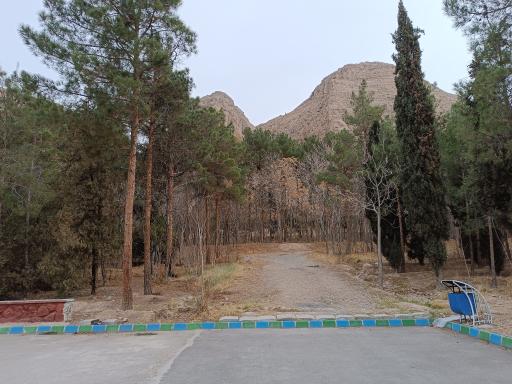 عکس زمین بدمیتون