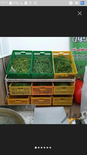 عکس سبزینه بانو