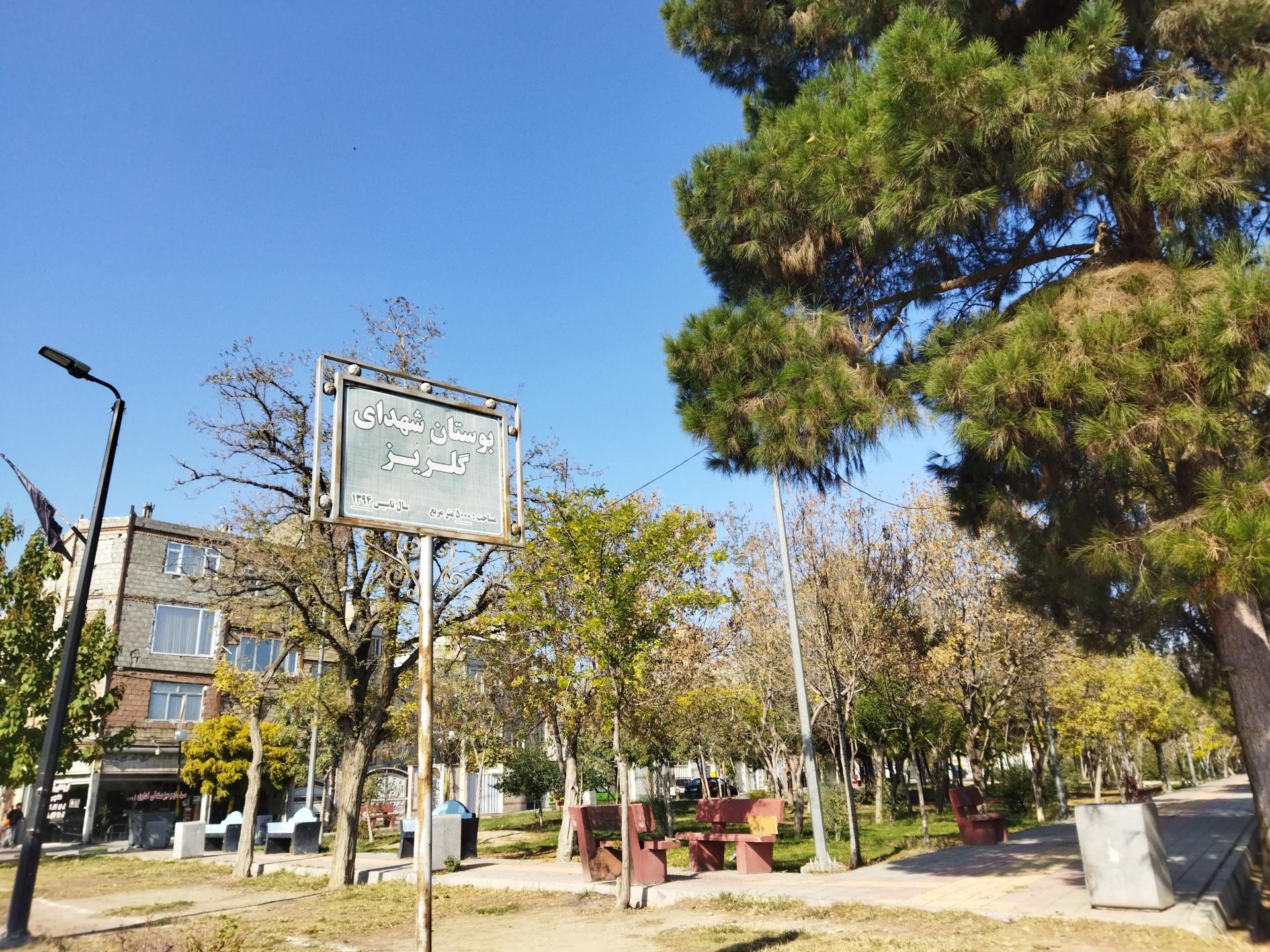 عکس بوستان جنگلی گلریز