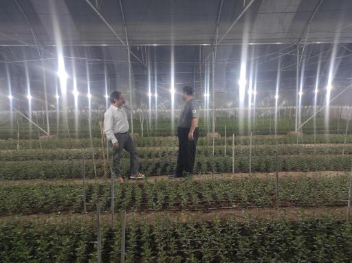 گلخانه حسین مالمیر 