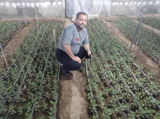 گلخانه حسین مالمیر 