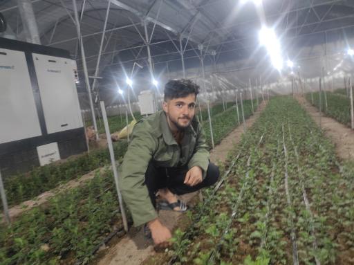 گلخانه حسین مالمیر 