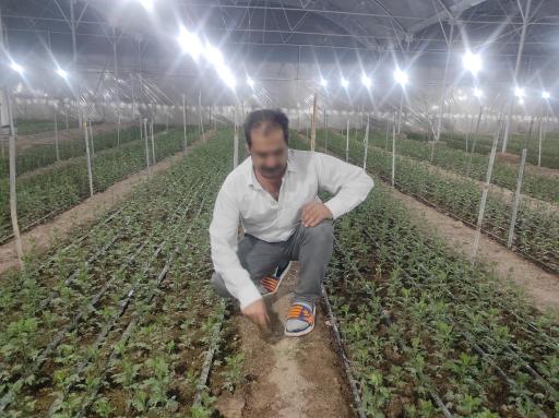 گلخانه حسین مالمیر 