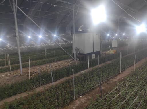 عکس گلخانه حسین مالمیر 