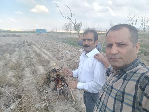 گلخانه حسین مالمیر 