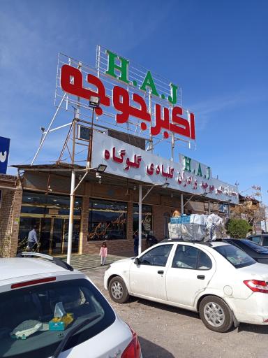 عکس اکبرجوجه