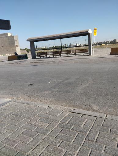 عکس  22بهمن 4/15