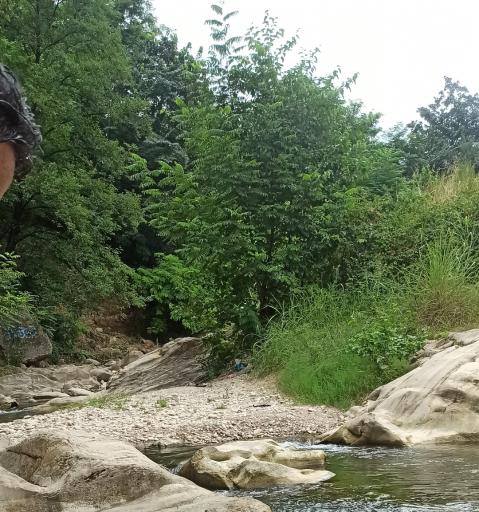 عکس پارک الغدیر